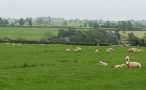 Agricultural returns include details of livestock as well as crops