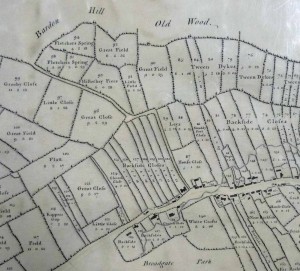 Newtown Linford, 1773