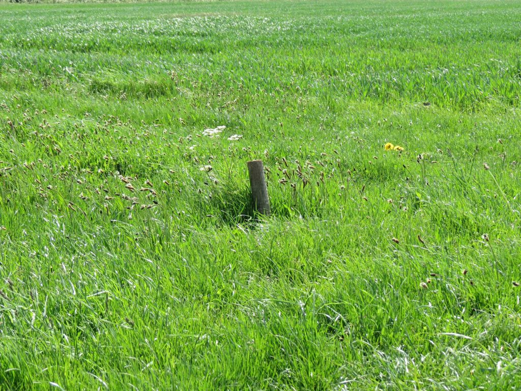 Marker at Laxton